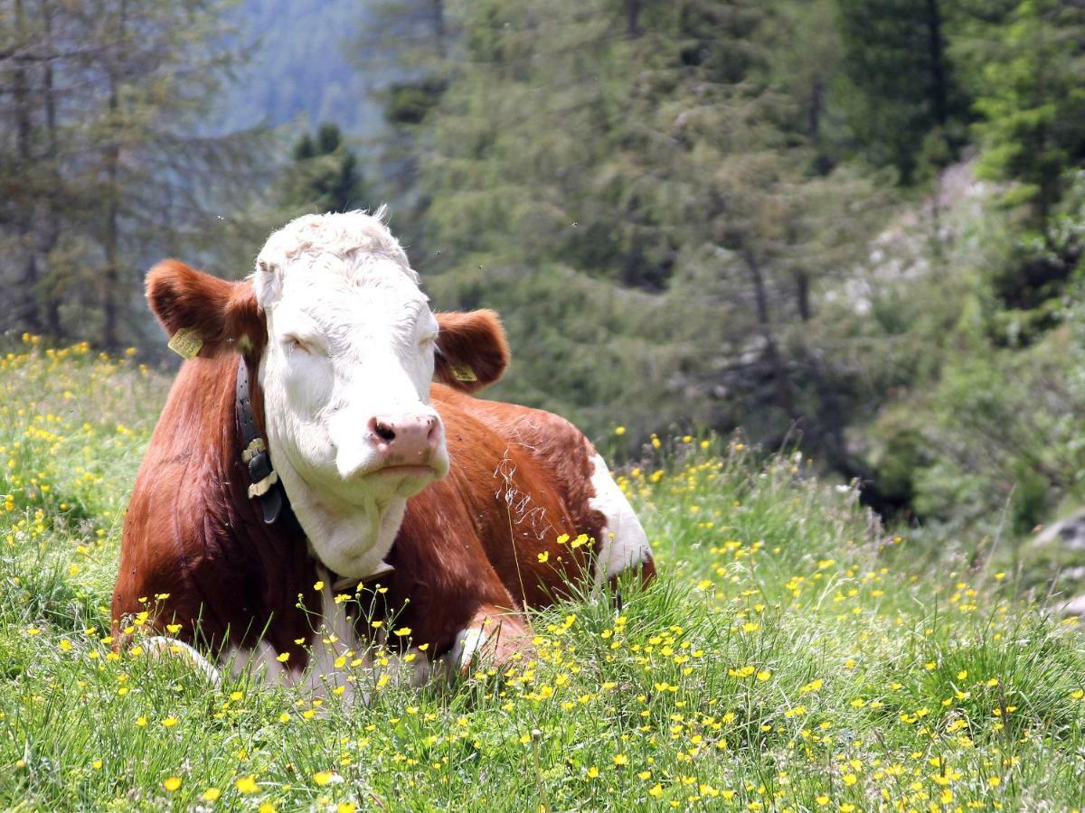 Vila Huberhof Ahrntal Exteriér fotografie